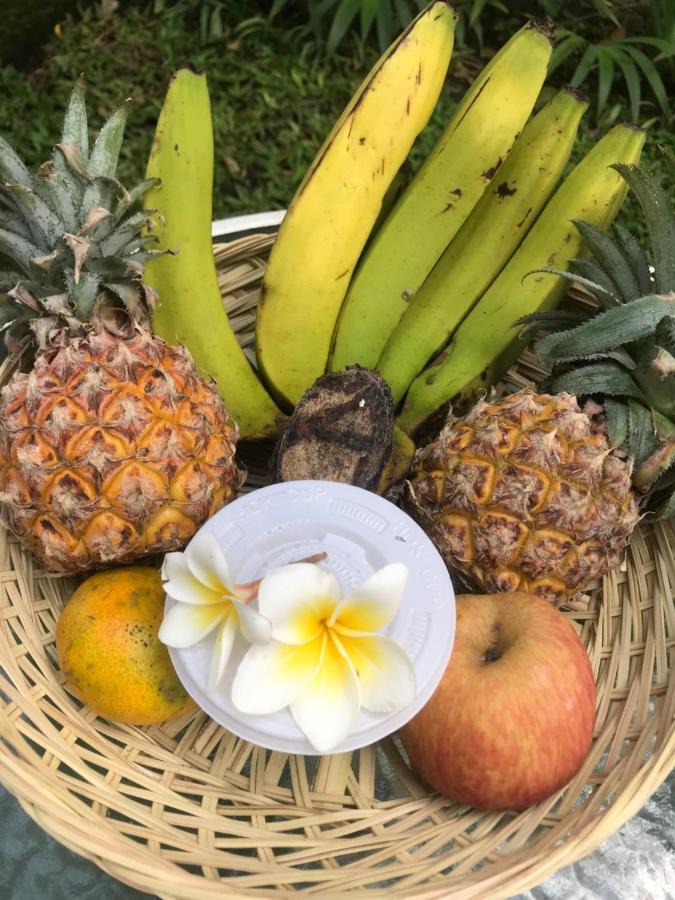 Griya Telaga Jumpung Apartman Ubud Kültér fotó